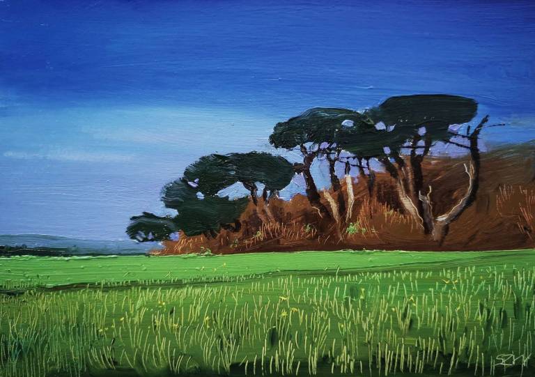 Daily Paintings April 2020 - Sarah Wimperis