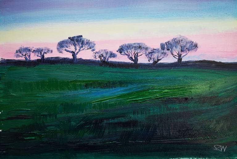 Daily Paintings April 2020 - Sarah Wimperis