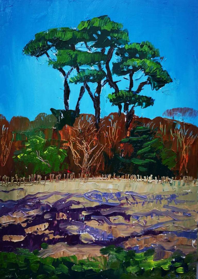 Daily Paintings April 2020 - Sarah Wimperis