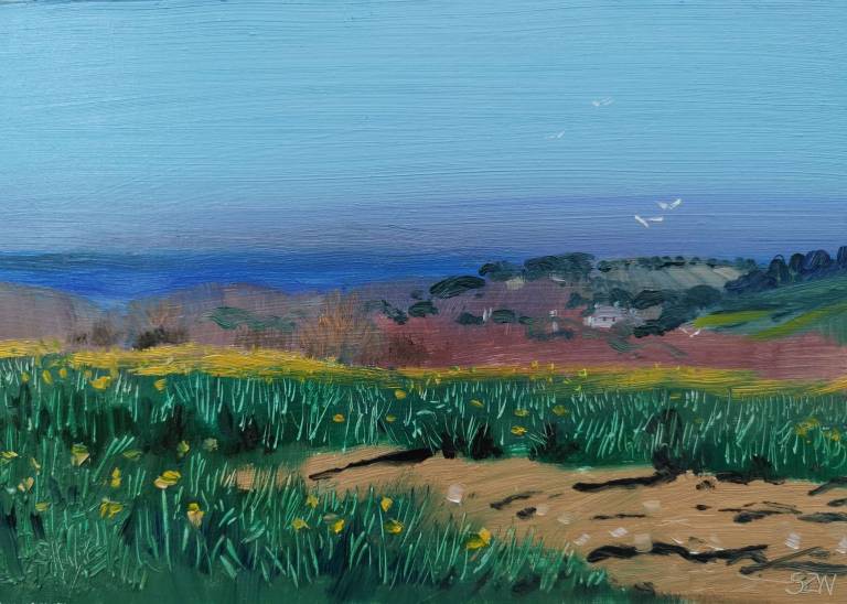 Daily Paintings April 2020 - Sarah Wimperis