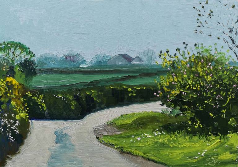 Daily Paintings April 2020 - Sarah Wimperis