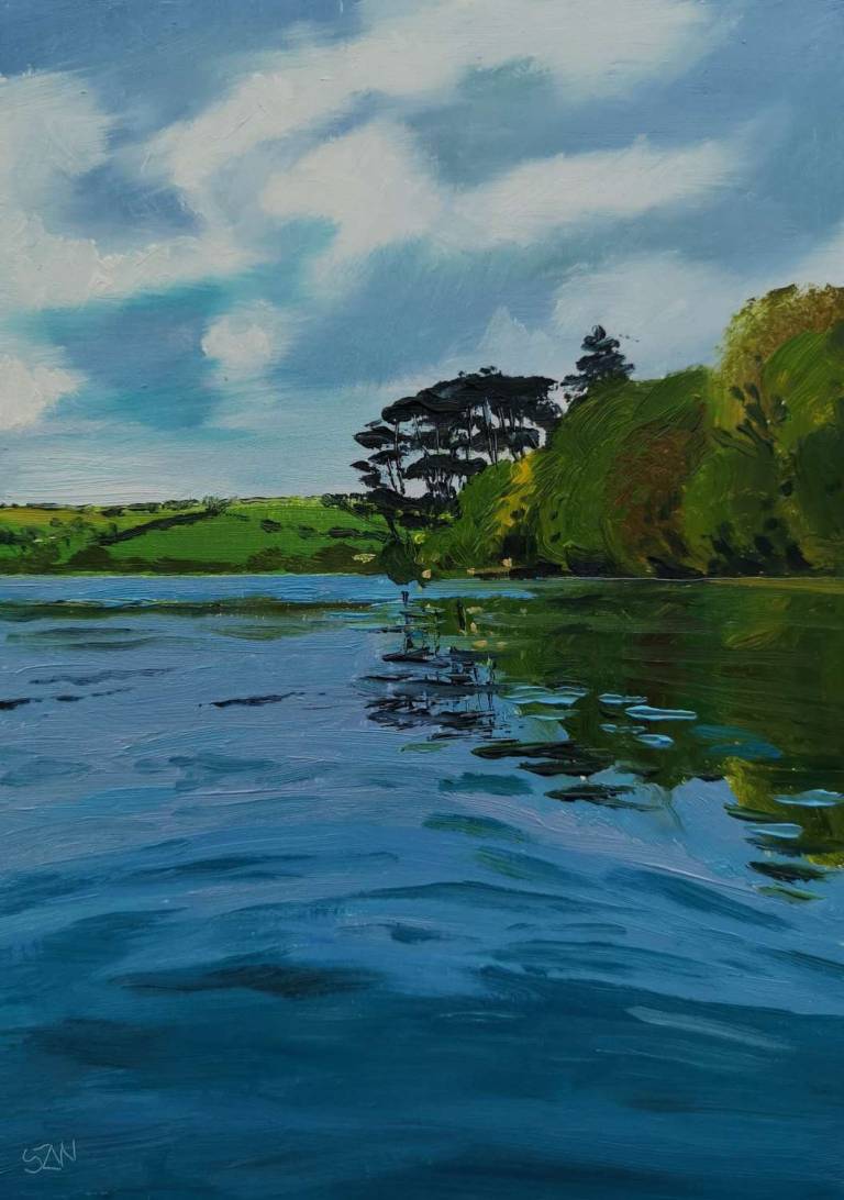 Daily Paintings April 2020 - Sarah Wimperis