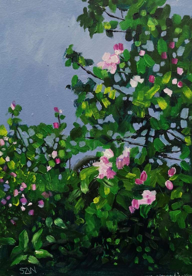 Daily Paintings April 2020 - Sarah Wimperis