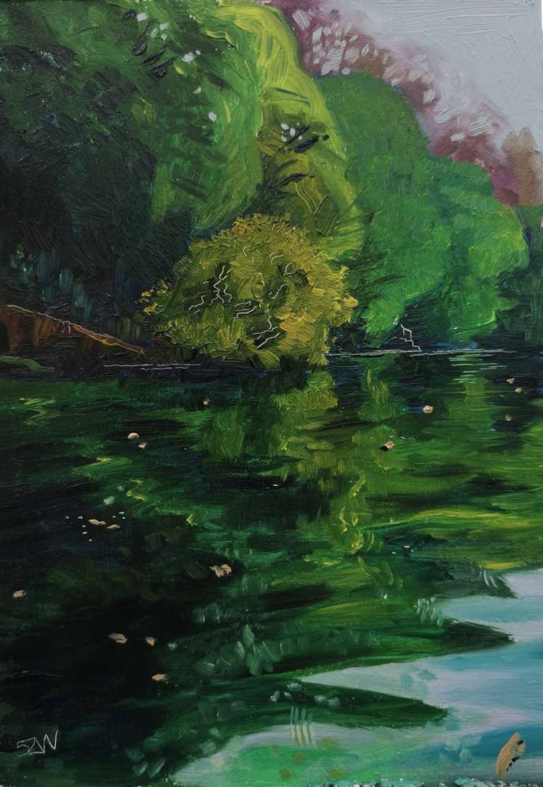 Daily Paintings April 2020 - Sarah Wimperis