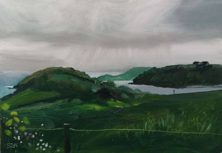 Daily Paintings April 2020 - Sarah Wimperis