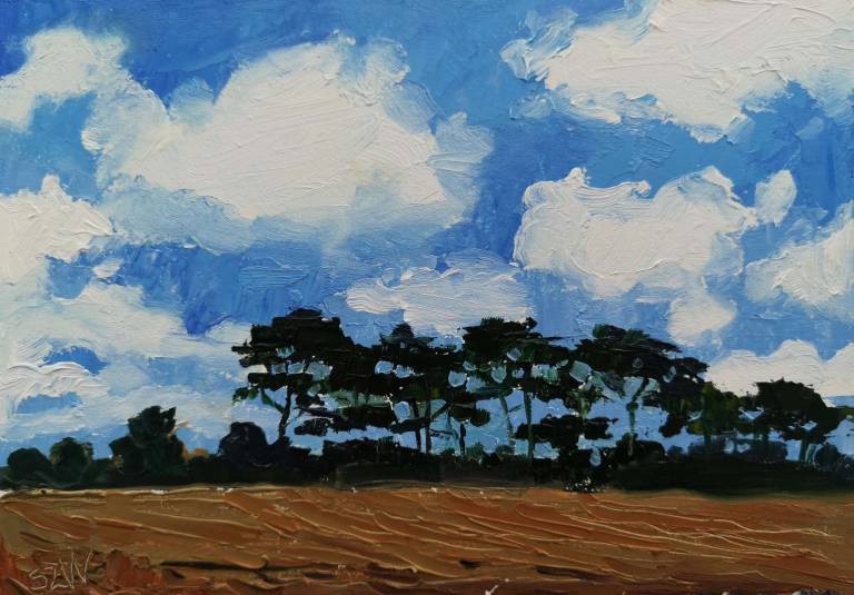 Daily Paintings May 2020 - Sarah Wimperis