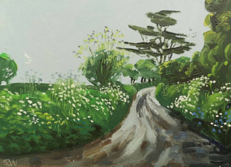 Daily Paintings May 2020 - Sarah Wimperis