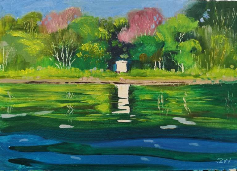 Daily Paintings May 2020 - Sarah Wimperis