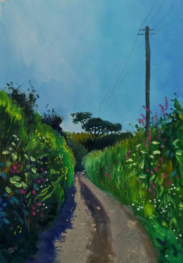 Daily Paintings June 2020 - Sarah Wimperis