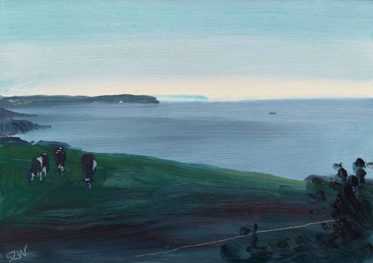 Daily Paintings June 2020 - Sarah Wimperis