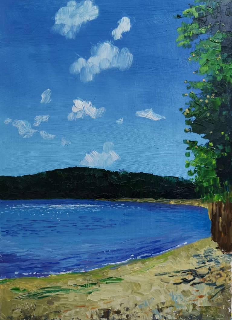 Daily Paintings June 2020 - Sarah Wimperis