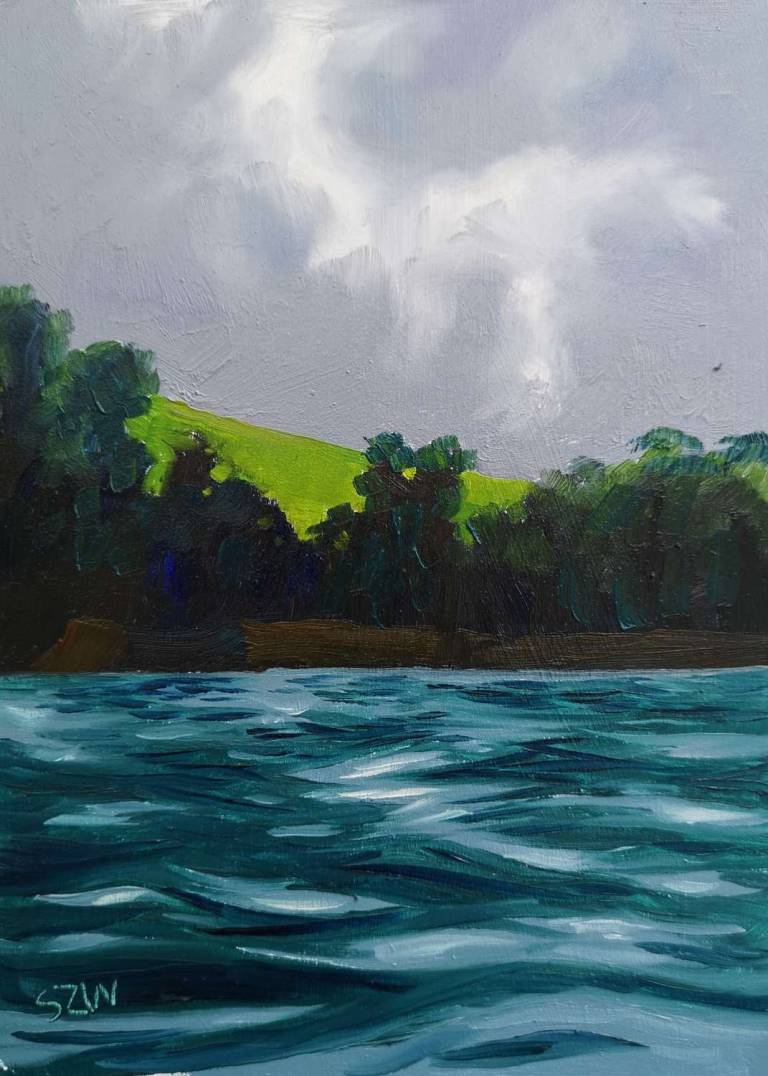 Daily Paintings July 2020 - Sarah Wimperis