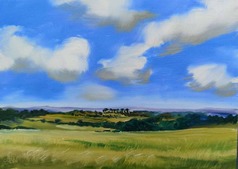 Daily Paintings July 2020 - Sarah Wimperis