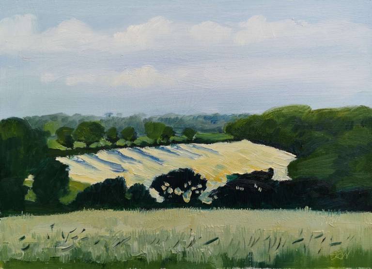 Daily Paintings July 2020 - Sarah Wimperis