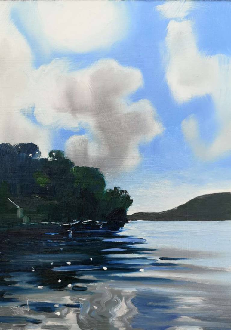 Daily Paintings July 2020 - Sarah Wimperis