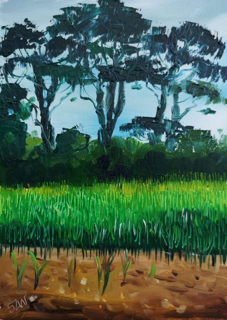 Daily Paintings August 2020 - Sarah Wimperis