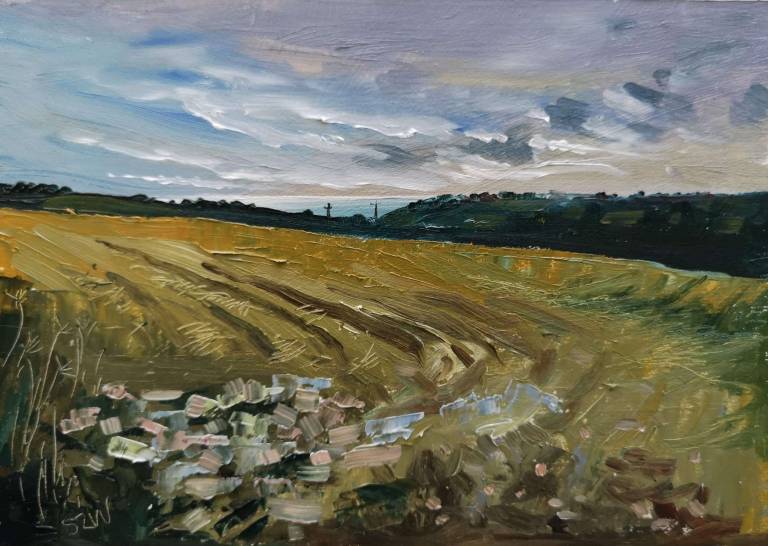 Daily Paintings August 2020 - Sarah Wimperis