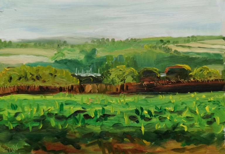 Daily Paintings September 2020 - Sarah Wimperis