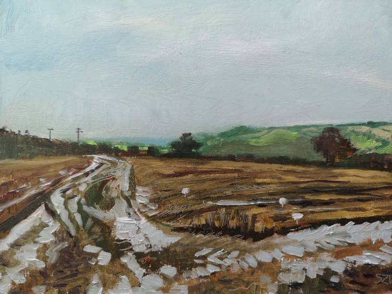 Daily Paintings October 2020 - Sarah Wimperis