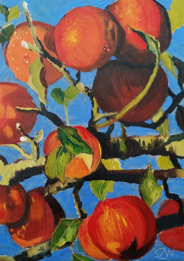 Daily Paintings November 2020 - Sarah Wimperis