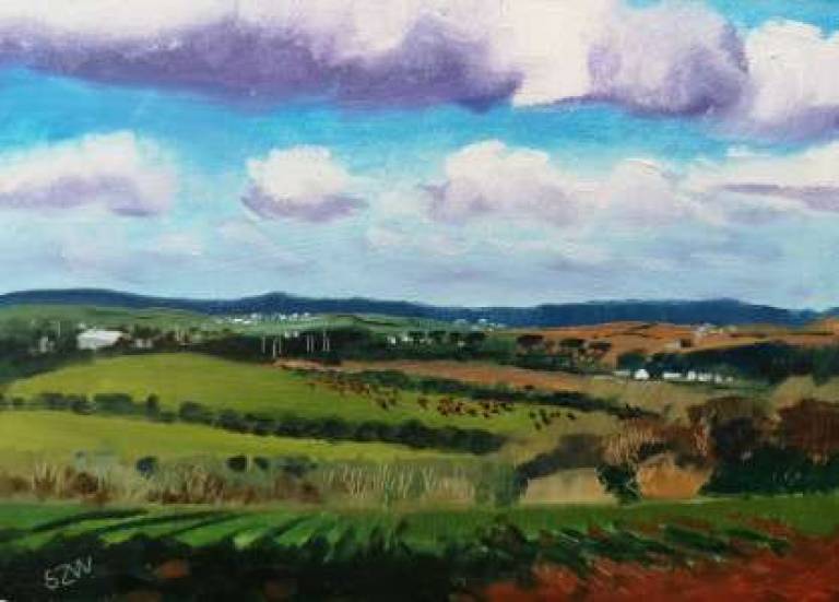 Daily Paintings November 2020 - Sarah Wimperis