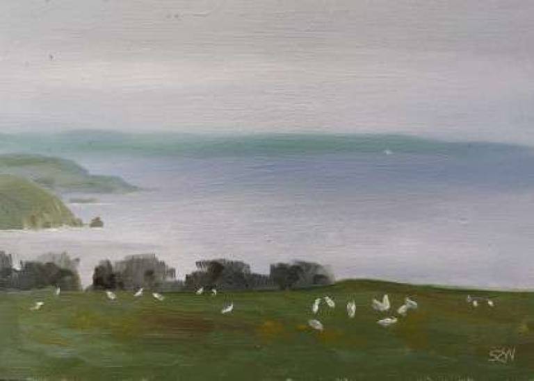 Daily Paintings November 2020 - Sarah Wimperis