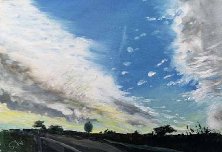 Daily Paintings November 2020 - Sarah Wimperis