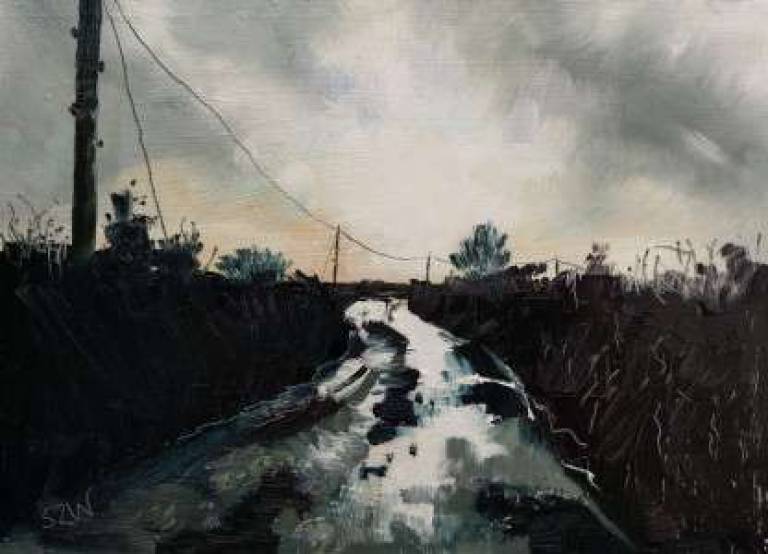 Daily Paintings November 2020 - Sarah Wimperis