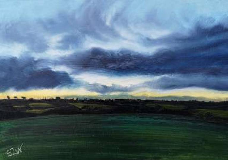 Daily Paintings December 2020 - Sarah Wimperis