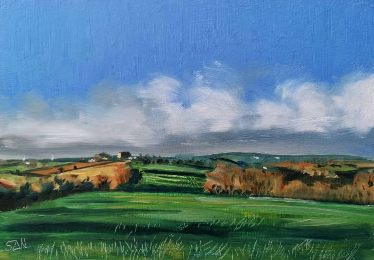 Daily Paintings December 2020 - Sarah Wimperis