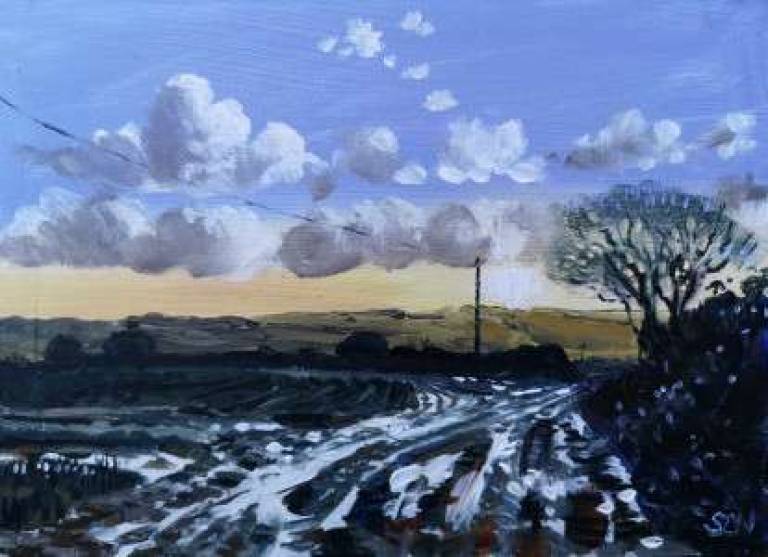 Daily Paintings December 2020 - Sarah Wimperis