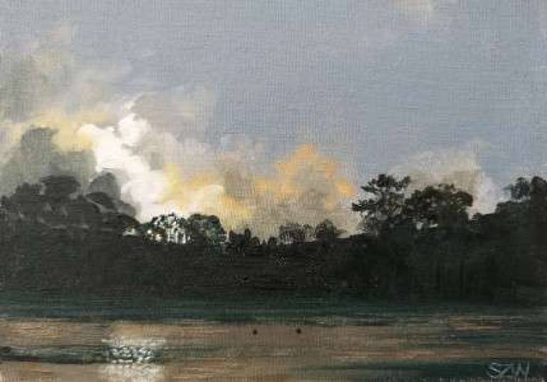 Daily Paintings December 2020 - Sarah Wimperis