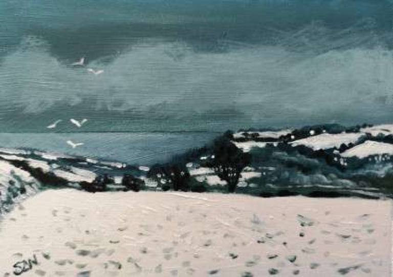 Daily Paintings December 2020 - Sarah Wimperis