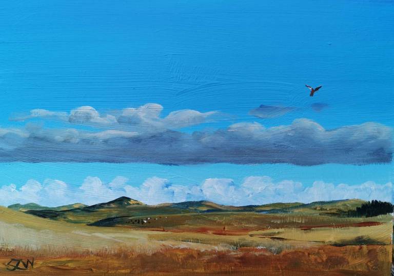 Daily Paintings January 2021 - Sarah Wimperis