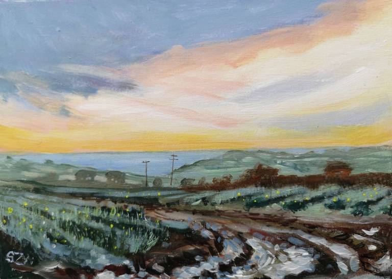 Daily Paintings January 2021 - Sarah Wimperis