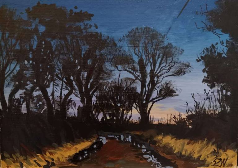 Daily Paintings January 2021 - Sarah Wimperis