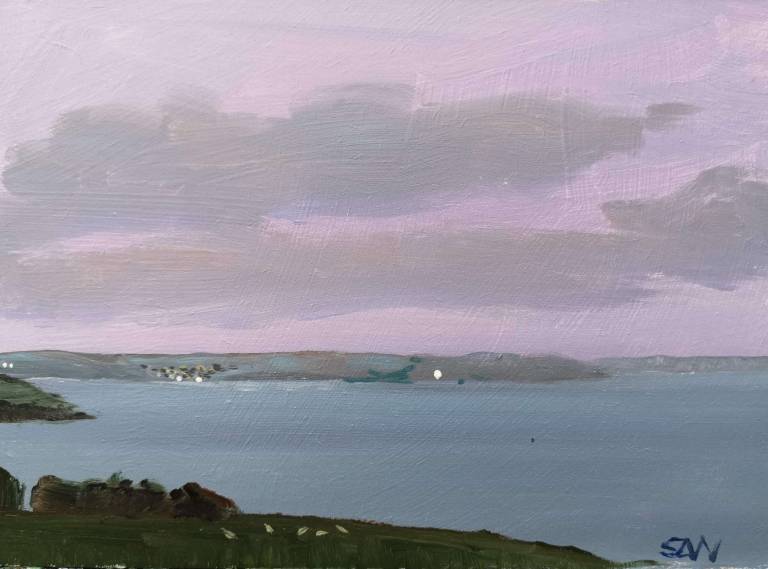 Daily Paintings January 2021 - Sarah Wimperis