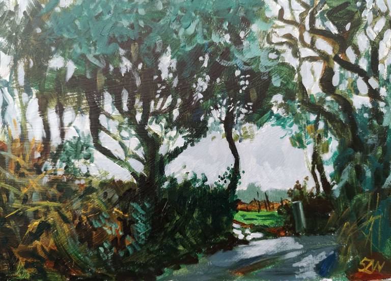 Daily Paintings January 2021 - Sarah Wimperis