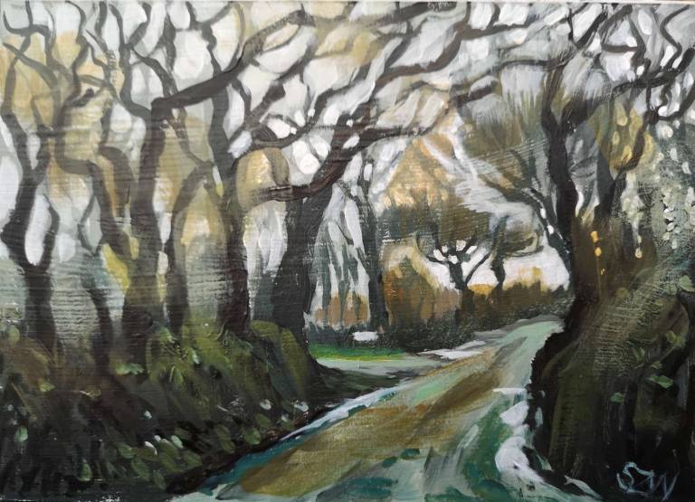 Daily Paintings January 2021 - Sarah Wimperis