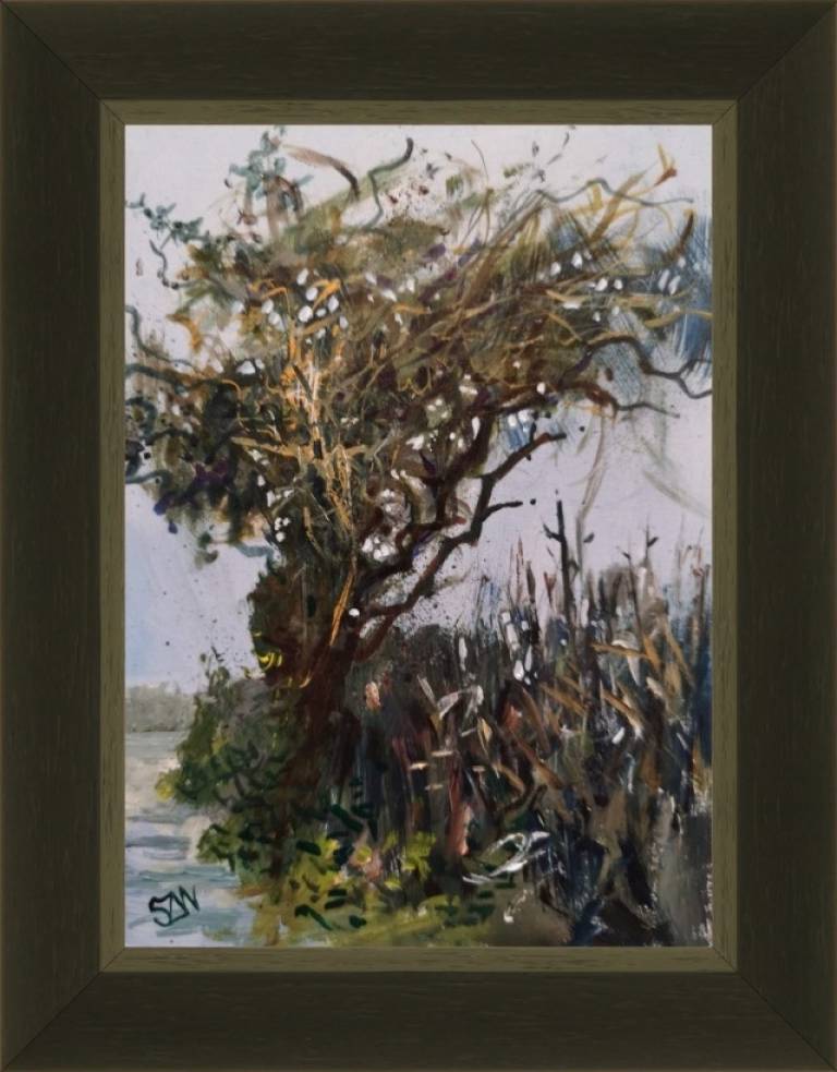 Winter Tree - Sarah Wimperis