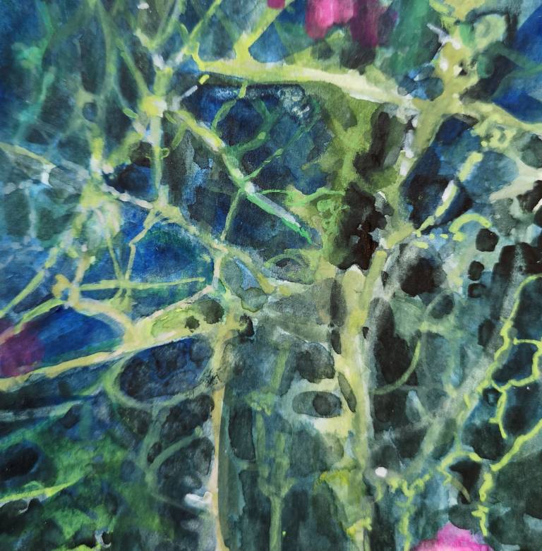 Networking - Sarah Wimperis