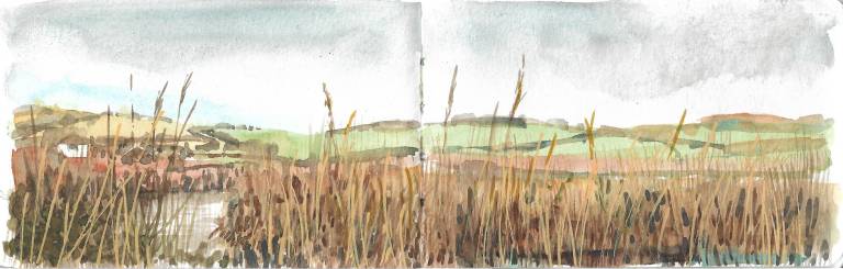 Woven Waters, Cornwall Sketchbook - Sarah Wimperis