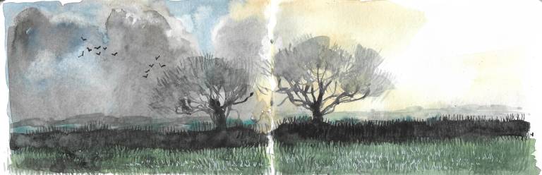 Woven Waters, Cornwall Sketchbook - Sarah Wimperis