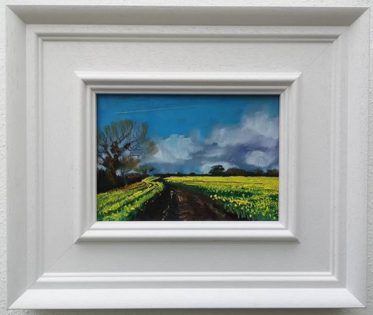 February Fields - Sarah Wimperis