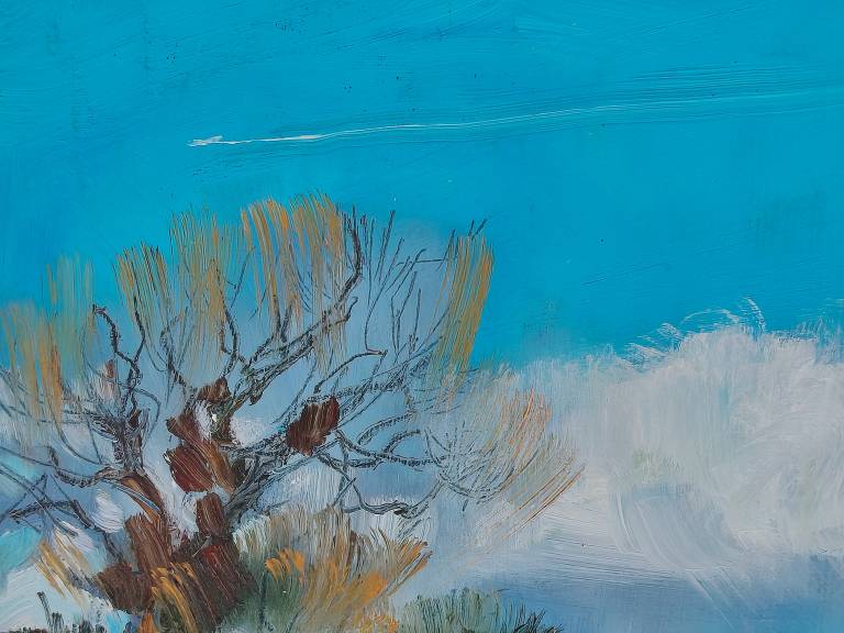 February Fields - Sarah Wimperis