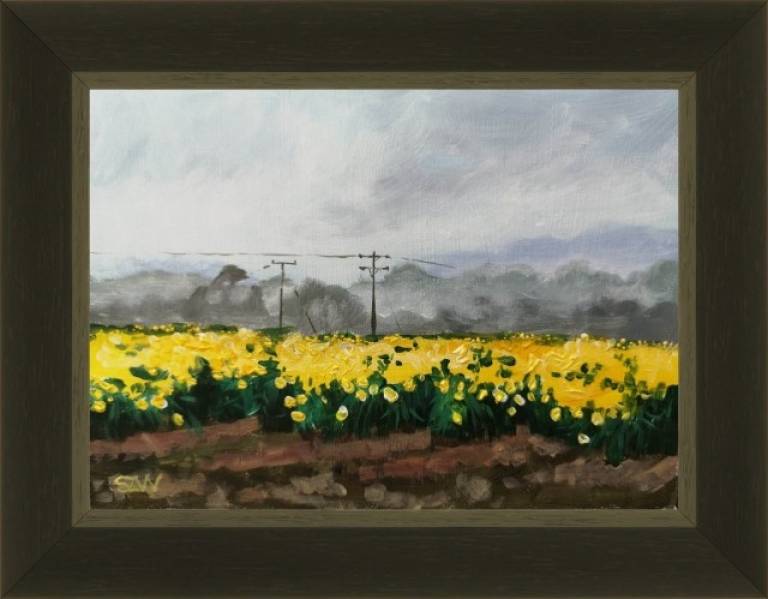 Spring St David's Day - Sarah Wimperis