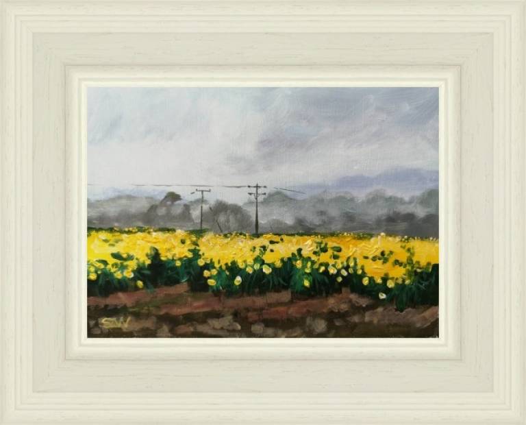 Spring St David's Day - Sarah Wimperis