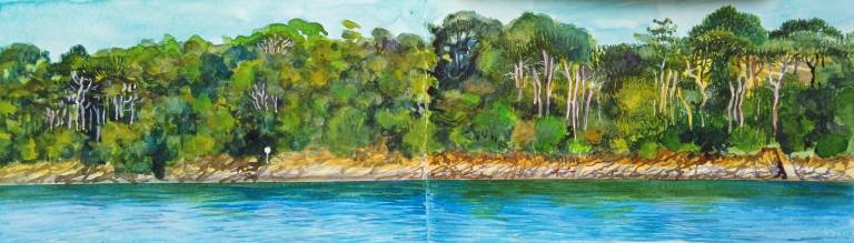 Summer on the Helford Sketchbook (WIP) - Sarah Wimperis