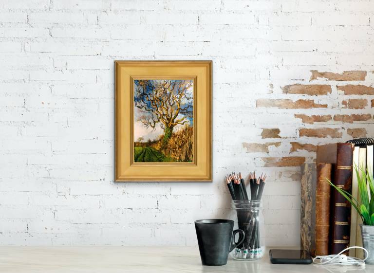 05.01.26 - Sarah Wimperis