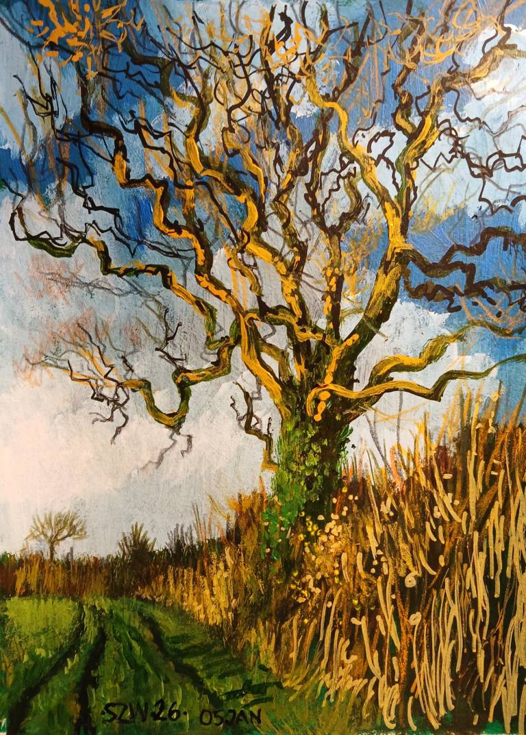 This Year: January - Sarah Wimperis